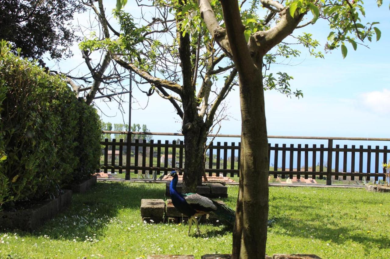 Agriturismo La Baita Agerola Exterior photo